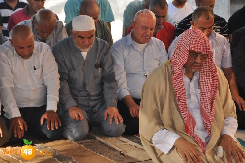 wafd motabaet3a (35).JPG